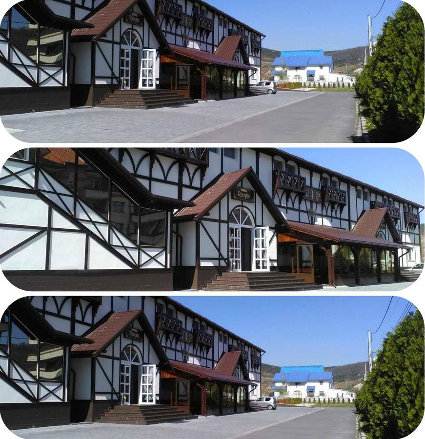 Vip Motel Restaurant Haţeg Eksteriør billede